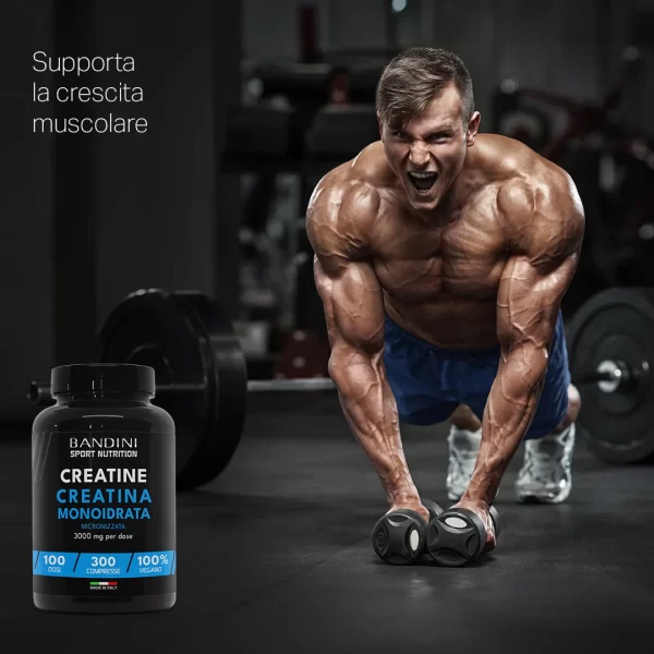 Creatina Monoidrato Micronizzata – 300 Compresse - obrazek 4