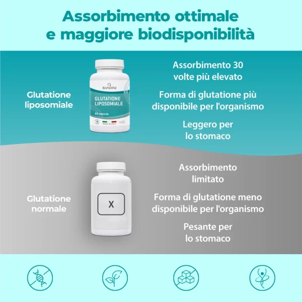 Glutation liposomalny - 60 kapsułek Setria® - obrazek 3