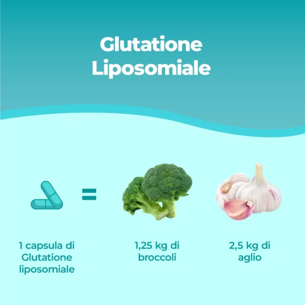 Glutation liposomalny - 60 kapsułek Setria® - obrazek 4