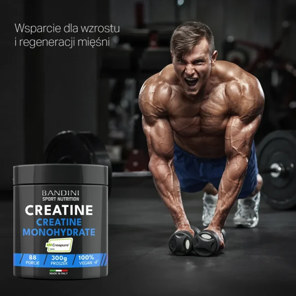 Suplement diety z kreatyną Creapure®
