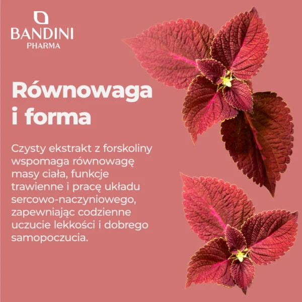 Suplement diety z forskoliną