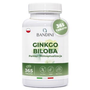 Ginkgo Biloba 365 tabletki