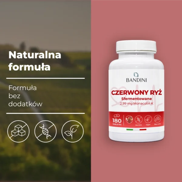 Fermentowany czerwony ryż - 180 tabletek - obrazek 4