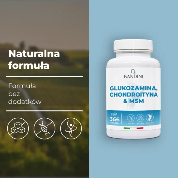 Glucosamine - 366 tabletki - obrazek 4