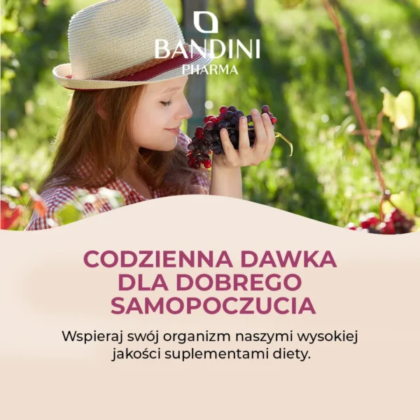 Suplement diety z ekstraktem z pestek winogron OPC