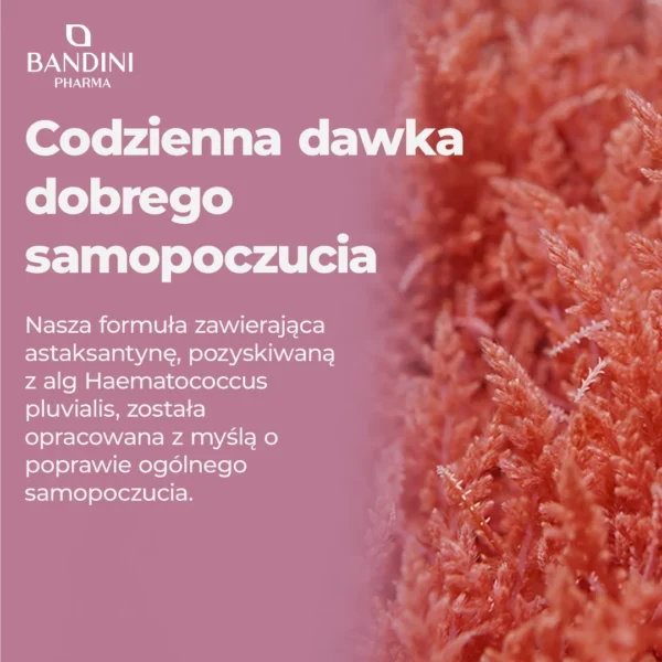 Astaxantina 240 Compresse