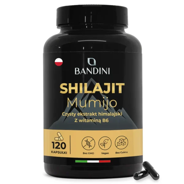 Shilajit 120 kapsulki