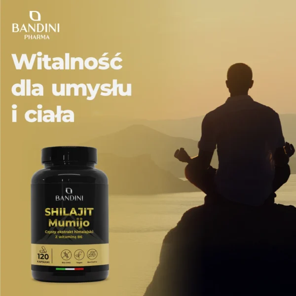 Shilajit It.pt01