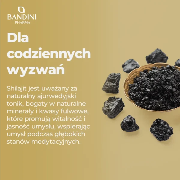 Shilajit It.pt02