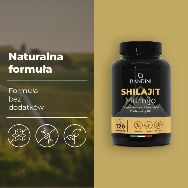 Shilajit It.pt03