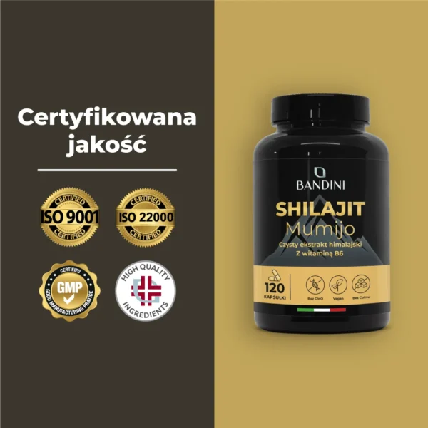 Shilajit It.pt05