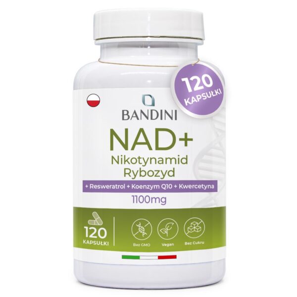 NAD+ Liposomalny – 120 kapsułek