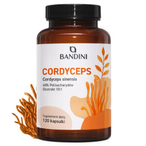 Cordyceps sinensis 120 kapsułki BANDINI main
