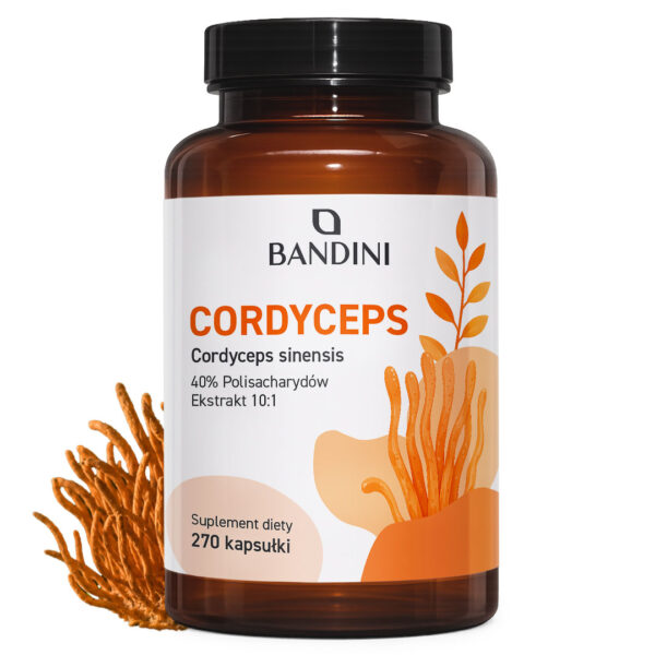 Cordyceps Sinensis – 270 kapsułek