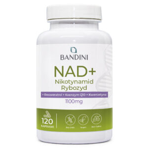 NAD Liposomalny 120 kapsułek BANDINI main