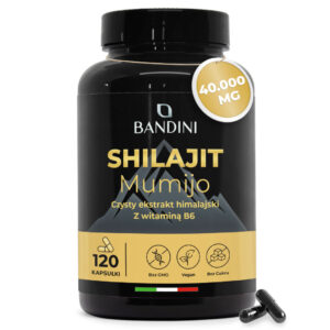 Shilajit 120 kapsułki BANDINI main