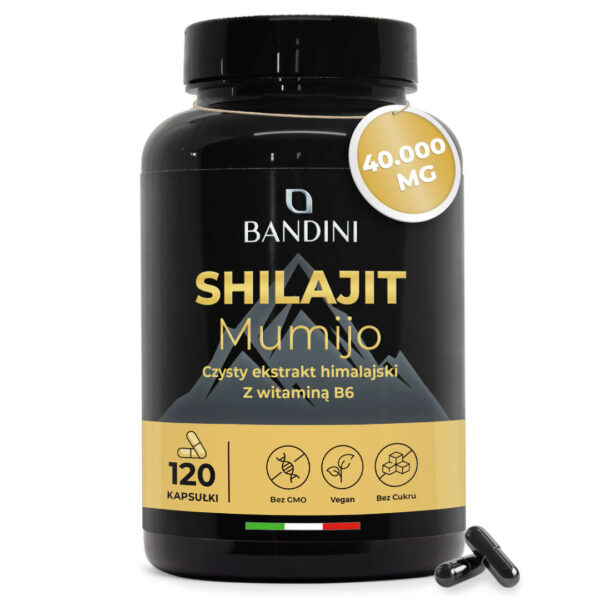 Shilajit – 120 kapsułki